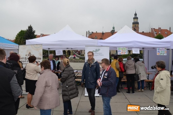 Zdjęcie w galerii na portalu naszwodzislaw.com: Festiwal Organizacji Pozarządowych już za nami! wiadomości z regionu