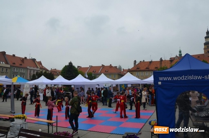 Zdjęcie w galerii na portalu naszwodzislaw.com: Festiwal Organizacji Pozarządowych już za nami! wiadomości z regionu