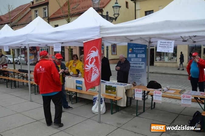 Zdjęcie w galerii na portalu naszwodzislaw.com: Festiwal Organizacji Pozarządowych już za nami! wiadomości z regionu