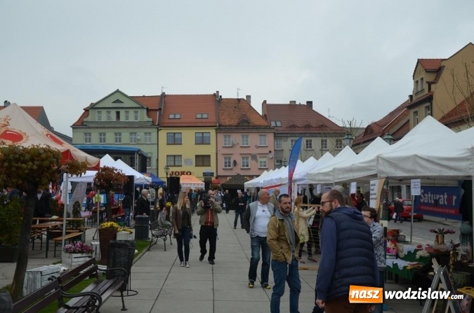 Zdjęcie w galerii na portalu naszwodzislaw.com: Festiwal Organizacji Pozarządowych już za nami! wiadomości z regionu
