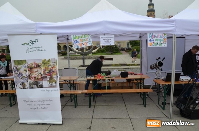 Zdjęcie w galerii na portalu naszwodzislaw.com: Festiwal Organizacji Pozarządowych już za nami! wiadomości z regionu