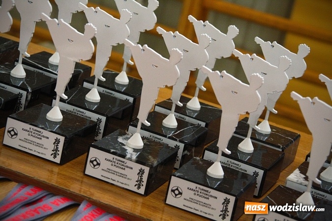 Zdjęcie w galerii na portalu naszwodzislaw.com: X Jubileuszowy Turniej Karate o Puchar Prezydenta Miasta Wodzisławia Śląskiego wiadomości z regionu