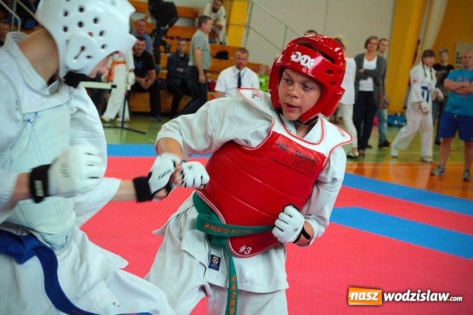 Zdjęcie w galerii na portalu naszwodzislaw.com: X Jubileuszowy Turniej Karate o Puchar Prezydenta Miasta Wodzisławia Śląskiego wiadomości z regionu