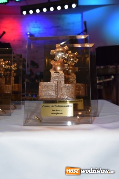 Zdjęcie w galerii na portalu naszwodzislaw.com: Po raz kolejny nagrodzono Przedsiębiorców. W tym roku Powiatowi Liderzy gościli w Rydułtowach wiadomości z regionu