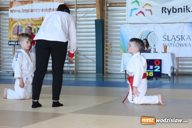 Zdjęcie w galerii na portalu naszwodzislaw.com: Kolejne sukcesy zawodników Octagon Team  wiadomości z regionu