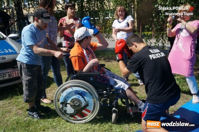 Zdjęcie w galerii na portalu naszwodzislaw.com: Policjanci i Sznupek na festynie dla dzieci niepełnosprawnych wiadomości z regionu