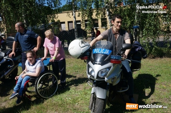 Zdjęcie w galerii na portalu naszwodzislaw.com: Policjanci i Sznupek na festynie dla dzieci niepełnosprawnych wiadomości z regionu