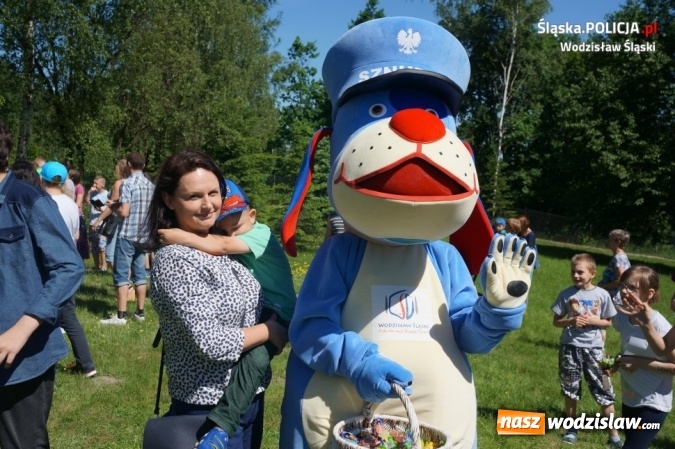 Zdjęcie w galerii na portalu naszwodzislaw.com: Policjanci i Sznupek na festynie dla dzieci niepełnosprawnych wiadomości z regionu