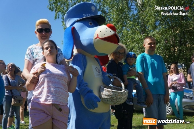 Zdjęcie w galerii na portalu naszwodzislaw.com: Policjanci i Sznupek na festynie dla dzieci niepełnosprawnych wiadomości z regionu