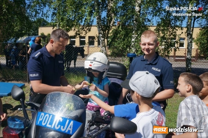 Zdjęcie w galerii na portalu naszwodzislaw.com: Policjanci i Sznupek na festynie dla dzieci niepełnosprawnych wiadomości z regionu