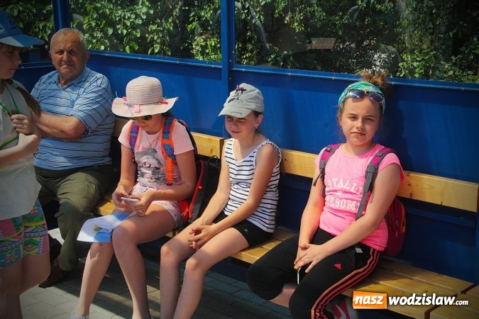 Zdjęcie w galerii na portalu naszwodzislaw.com: Pociąg papieski w Olzie. Tłumy wiernych. FOTORELACJA wiadomości z regionu