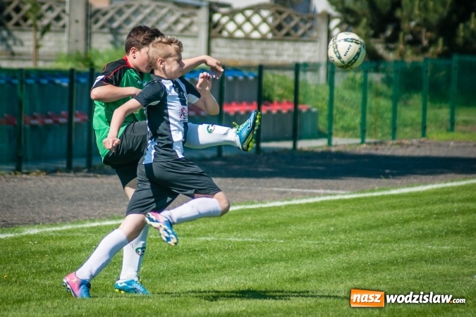Zdjęcie w galerii na portalu naszwodzislaw.com: Przegrywać także trzeba się nauczyć. Nieprzyjemny incydent po meczu trampkarzy w Tworkowie wiadomości z regionu