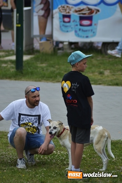 Zdjęcie w galerii na portalu naszwodzislaw.com: Festiwal Atrakcji z okazji Dnia Dziecka w Rodzinnym Parku Rozrywki wiadomości z regionu