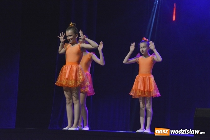 Zdjęcie w galerii na portalu naszwodzislaw.com: Showtime tancerzy Spinu na deskach WCK  wiadomości z regionu