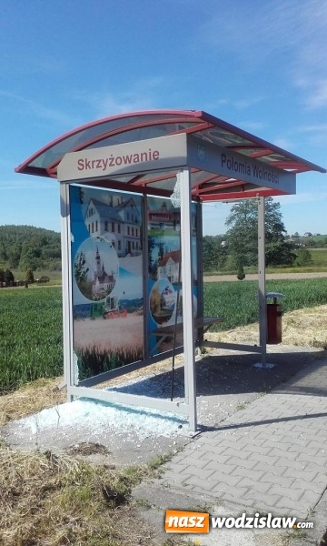 Zdjęcie w galerii na portalu naszwodzislaw.com: Zniszczone przystanki na terenie Połomi i Gogołowej. Urzędnicy proszą o pomoc  wiadomości z regionu