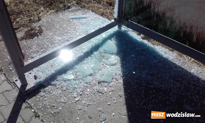 Zdjęcie w galerii na portalu naszwodzislaw.com: Zniszczone przystanki na terenie Połomi i Gogołowej. Urzędnicy proszą o pomoc  wiadomości z regionu