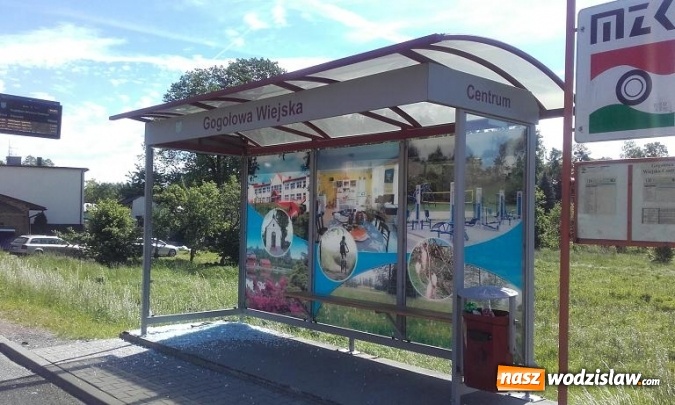 Zdjęcie w galerii na portalu naszwodzislaw.com: Zniszczone przystanki na terenie Połomi i Gogołowej. Urzędnicy proszą o pomoc  wiadomości z regionu
