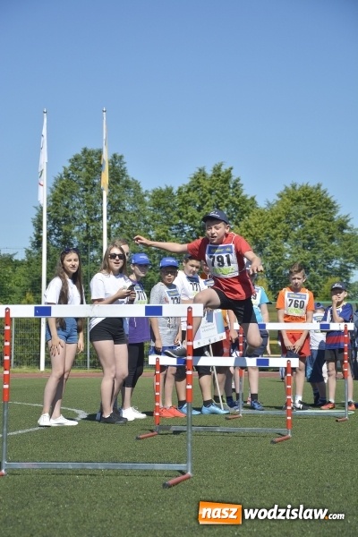 Zdjęcie w galerii na portalu naszwodzislaw.com: XV Powiatowa Olimpiada Osób Niepełnosprawnych. FOTORELACJA wiadomości z regionu