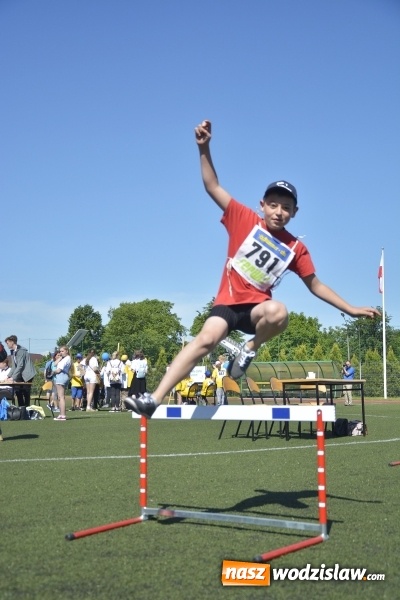Zdjęcie w galerii na portalu naszwodzislaw.com: XV Powiatowa Olimpiada Osób Niepełnosprawnych. FOTORELACJA wiadomości z regionu