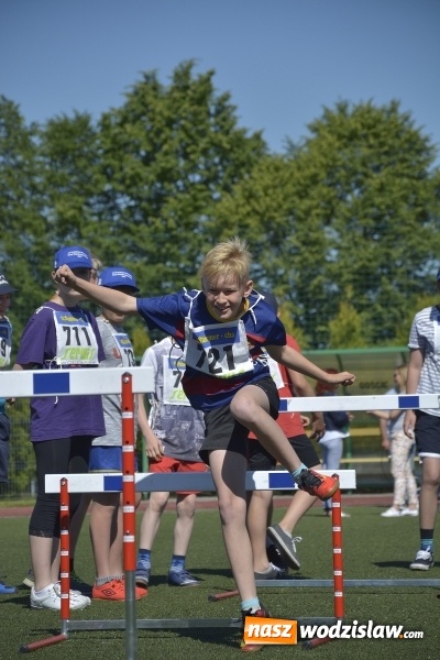 Zdjęcie w galerii na portalu naszwodzislaw.com: XV Powiatowa Olimpiada Osób Niepełnosprawnych. FOTORELACJA wiadomości z regionu