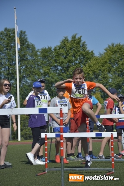 Zdjęcie w galerii na portalu naszwodzislaw.com: XV Powiatowa Olimpiada Osób Niepełnosprawnych. FOTORELACJA wiadomości z regionu