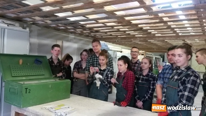Zdjęcie w galerii na portalu naszwodzislaw.com: Uczniowie Budowlanki na stażach we Frankfurcie nad Odrą wiadomości z regionu