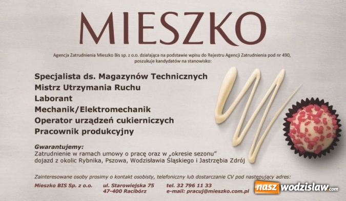 Zdjęcie w galerii na portalu naszwodzislaw.com: Szukaj pracy skutecznie z naszą pomocą!  wiadomości z regionu