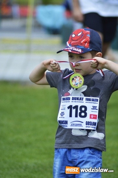 Zdjęcie w galerii na portalu naszwodzislaw.com: Rodzinny Piknik Sportowy. Moc atrakcji dla małych i dużych  wiadomości z regionu