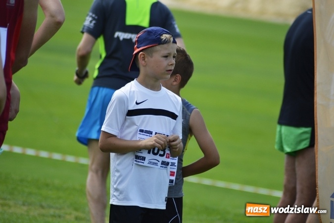 Zdjęcie w galerii na portalu naszwodzislaw.com: Rodzinny Piknik Sportowy. Moc atrakcji dla małych i dużych  wiadomości z regionu