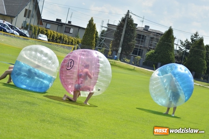 Zdjęcie w galerii na portalu naszwodzislaw.com: Rodzinny Piknik Sportowy. Moc atrakcji dla małych i dużych  wiadomości z regionu