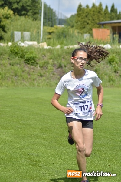 Zdjęcie w galerii na portalu naszwodzislaw.com: Rodzinny Piknik Sportowy. Moc atrakcji dla małych i dużych  wiadomości z regionu