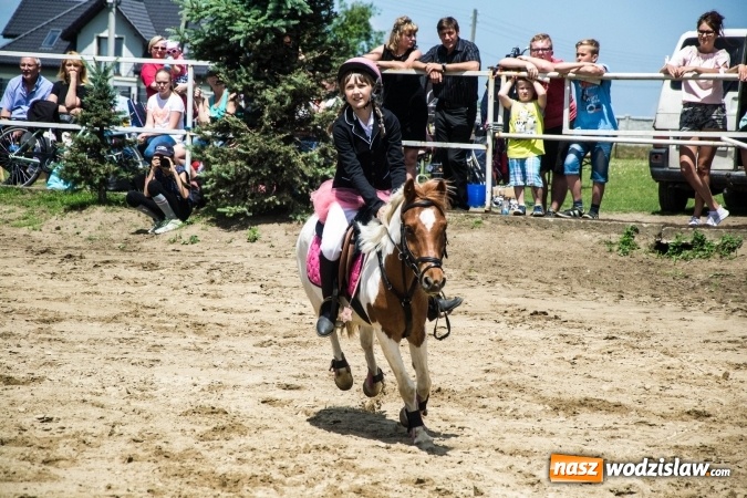 Zdjęcie w galerii na portalu naszwodzislaw.com: III Towarzyskie Zawody Jeździeckie o Puchar Wójta Gminy Gorzyce wiadomości z regionu