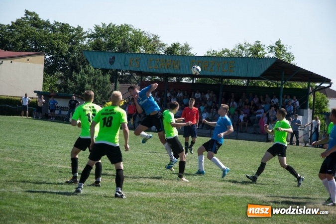 Zdjęcie w galerii na portalu naszwodzislaw.com: Gorzyce wygrały z Krzanowicami. Czarni coraz bliżej awansu! wiadomości z regionu