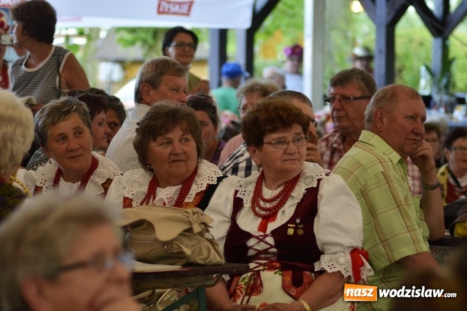 Zdjęcie w galerii na portalu naszwodzislaw.com: Noc Świętojańska. W Olzie popłynęły wianki  wiadomości z regionu