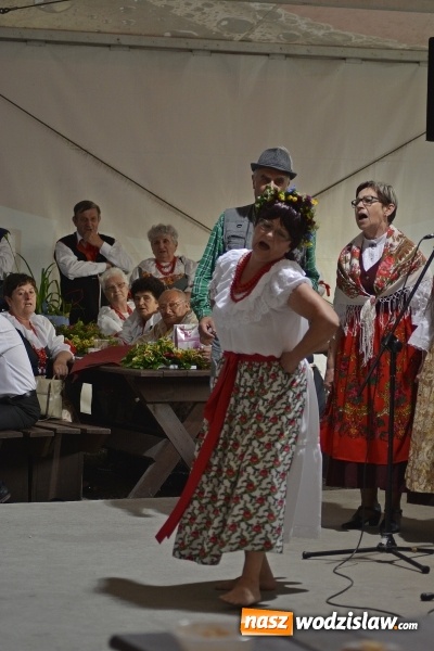 Zdjęcie w galerii na portalu naszwodzislaw.com: Noc Świętojańska. W Olzie popłynęły wianki  wiadomości z regionu