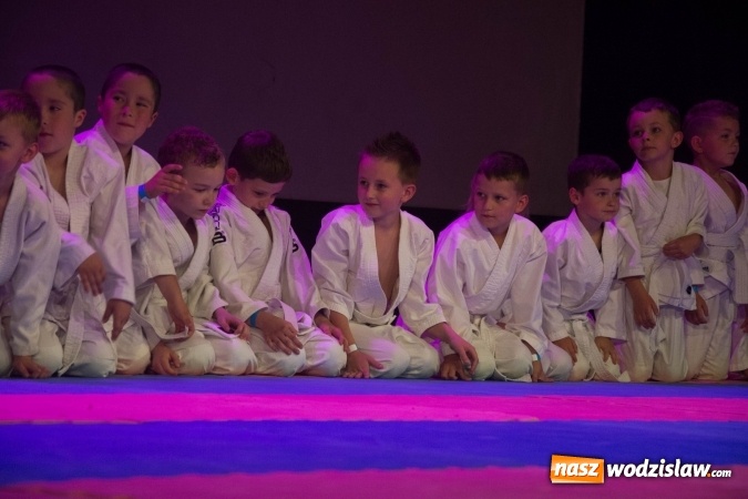 Zdjęcie w galerii na portalu naszwodzislaw.com: II Gala Judo Kids – sportowe emocje w WCK wiadomości z regionu