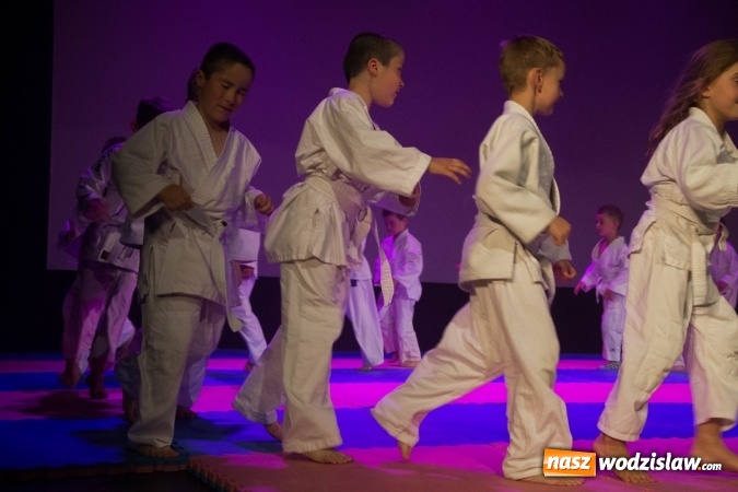 Zdjęcie w galerii na portalu naszwodzislaw.com: II Gala Judo Kids – sportowe emocje w WCK wiadomości z regionu