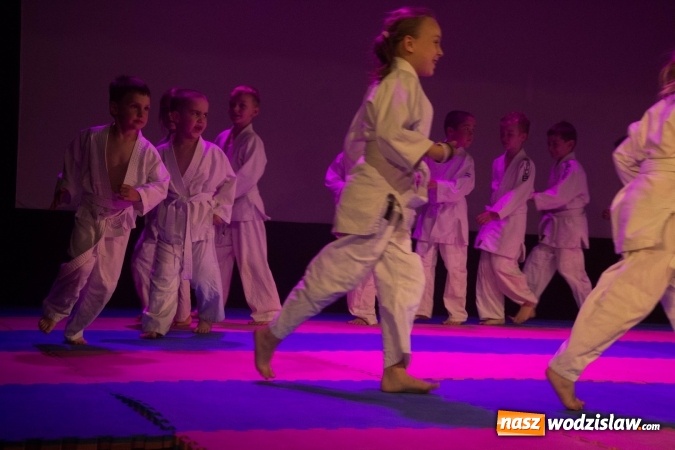 Zdjęcie w galerii na portalu naszwodzislaw.com: II Gala Judo Kids – sportowe emocje w WCK wiadomości z regionu