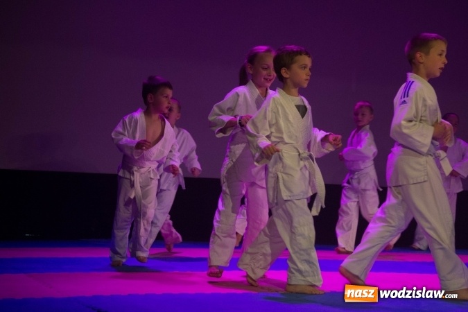 Zdjęcie w galerii na portalu naszwodzislaw.com: II Gala Judo Kids – sportowe emocje w WCK wiadomości z regionu