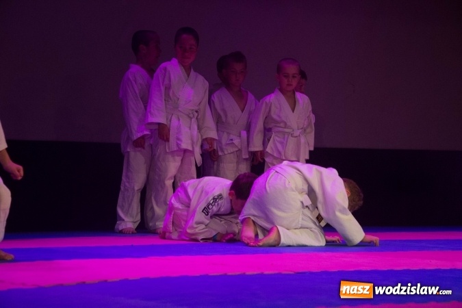 Zdjęcie w galerii na portalu naszwodzislaw.com: II Gala Judo Kids – sportowe emocje w WCK wiadomości z regionu