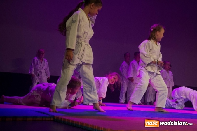 Zdjęcie w galerii na portalu naszwodzislaw.com: II Gala Judo Kids – sportowe emocje w WCK wiadomości z regionu