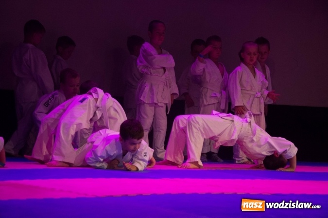 Zdjęcie w galerii na portalu naszwodzislaw.com: II Gala Judo Kids – sportowe emocje w WCK wiadomości z regionu