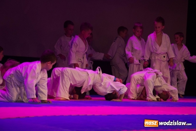 Zdjęcie w galerii na portalu naszwodzislaw.com: II Gala Judo Kids – sportowe emocje w WCK wiadomości z regionu