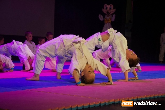 Zdjęcie w galerii na portalu naszwodzislaw.com: II Gala Judo Kids – sportowe emocje w WCK wiadomości z regionu