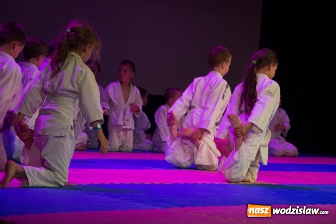 Zdjęcie w galerii na portalu naszwodzislaw.com: II Gala Judo Kids – sportowe emocje w WCK wiadomości z regionu