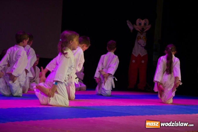 Zdjęcie w galerii na portalu naszwodzislaw.com: II Gala Judo Kids – sportowe emocje w WCK wiadomości z regionu