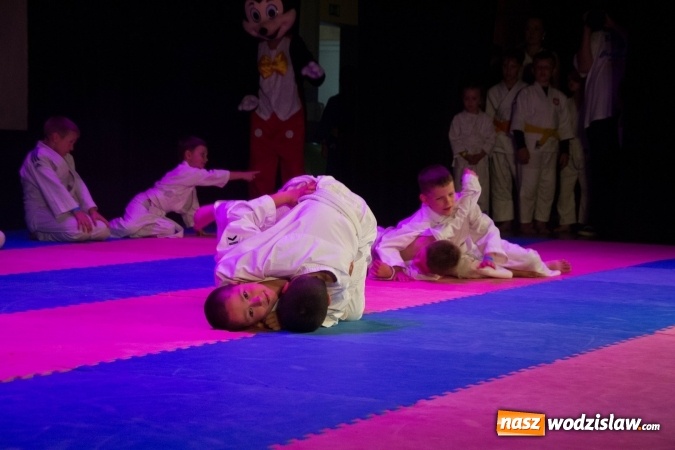 Zdjęcie w galerii na portalu naszwodzislaw.com: II Gala Judo Kids – sportowe emocje w WCK wiadomości z regionu
