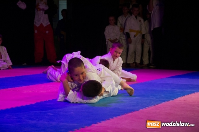 Zdjęcie w galerii na portalu naszwodzislaw.com: II Gala Judo Kids – sportowe emocje w WCK wiadomości z regionu