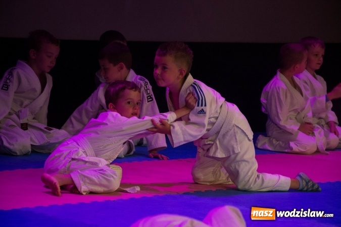 Zdjęcie w galerii na portalu naszwodzislaw.com: II Gala Judo Kids – sportowe emocje w WCK wiadomości z regionu