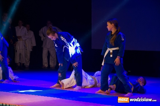 Zdjęcie w galerii na portalu naszwodzislaw.com: II Gala Judo Kids – sportowe emocje w WCK wiadomości z regionu
